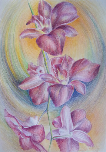 Orchids in the Flow of Forms by Olga Milova, Drawing for Sale on Select