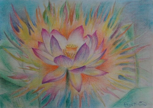 Lotus Flower – Light of Seilens by Olga Milova, Drawing for Sale on Select