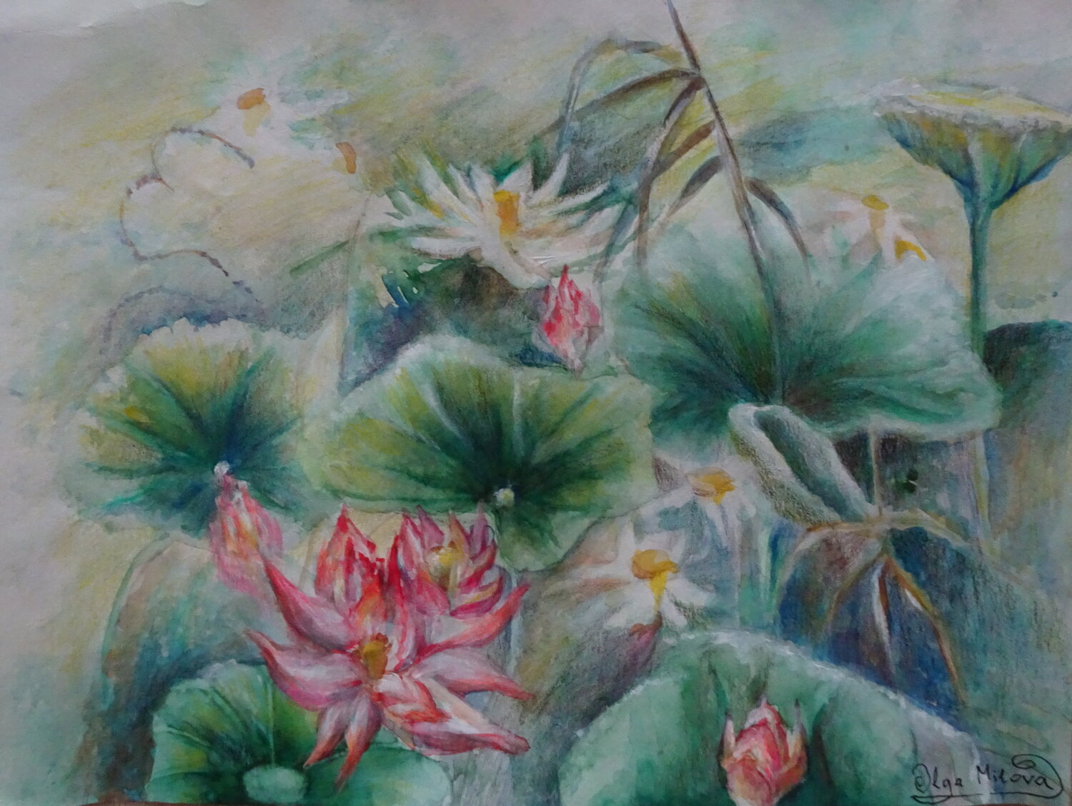 Water Lilies in the Morning Light Olga Milova Original painting for sale