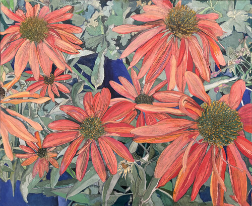 Echinacea by Moorland Productions (Kenneth Hay / Seetha A), Painting for Sale on Select