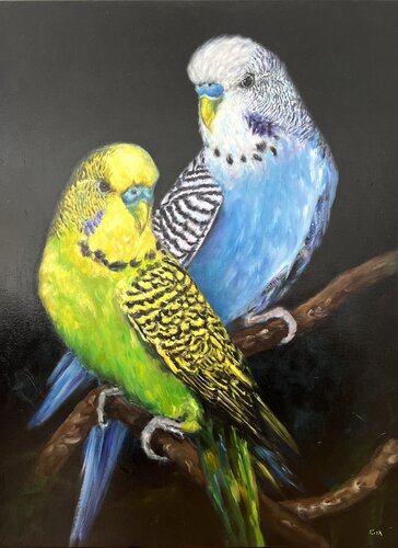 Budgie Brillance by Rita Hsu, Painting for Sale on Select