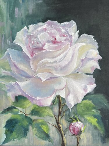 Rose in Morning Light by Anna Parhimovitš, Painting for Sale on Select