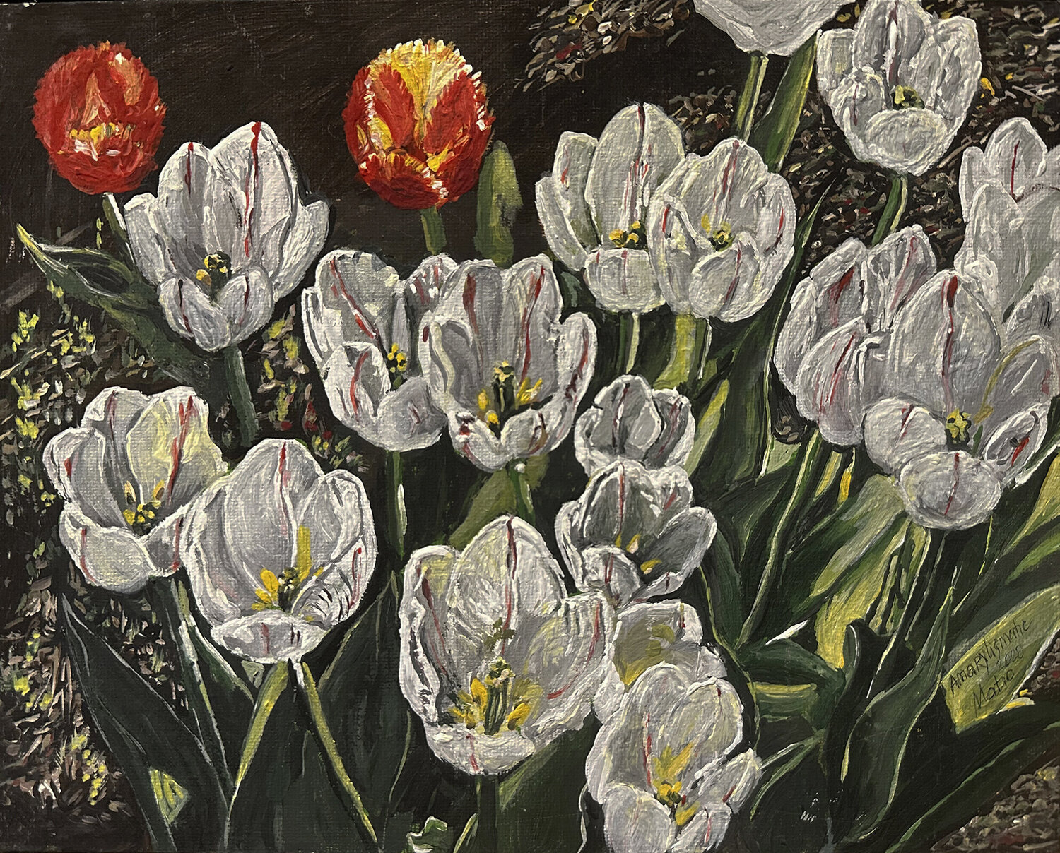 Snow White tulips Maria Matic and Amarylismatic Original painting for sale