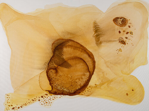 Amber Dunes by Birute Celik, Painting for Sale on Select