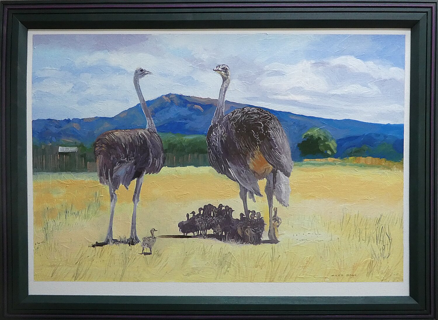 An Ostrich Creche Gerald Miles Original painting for sale