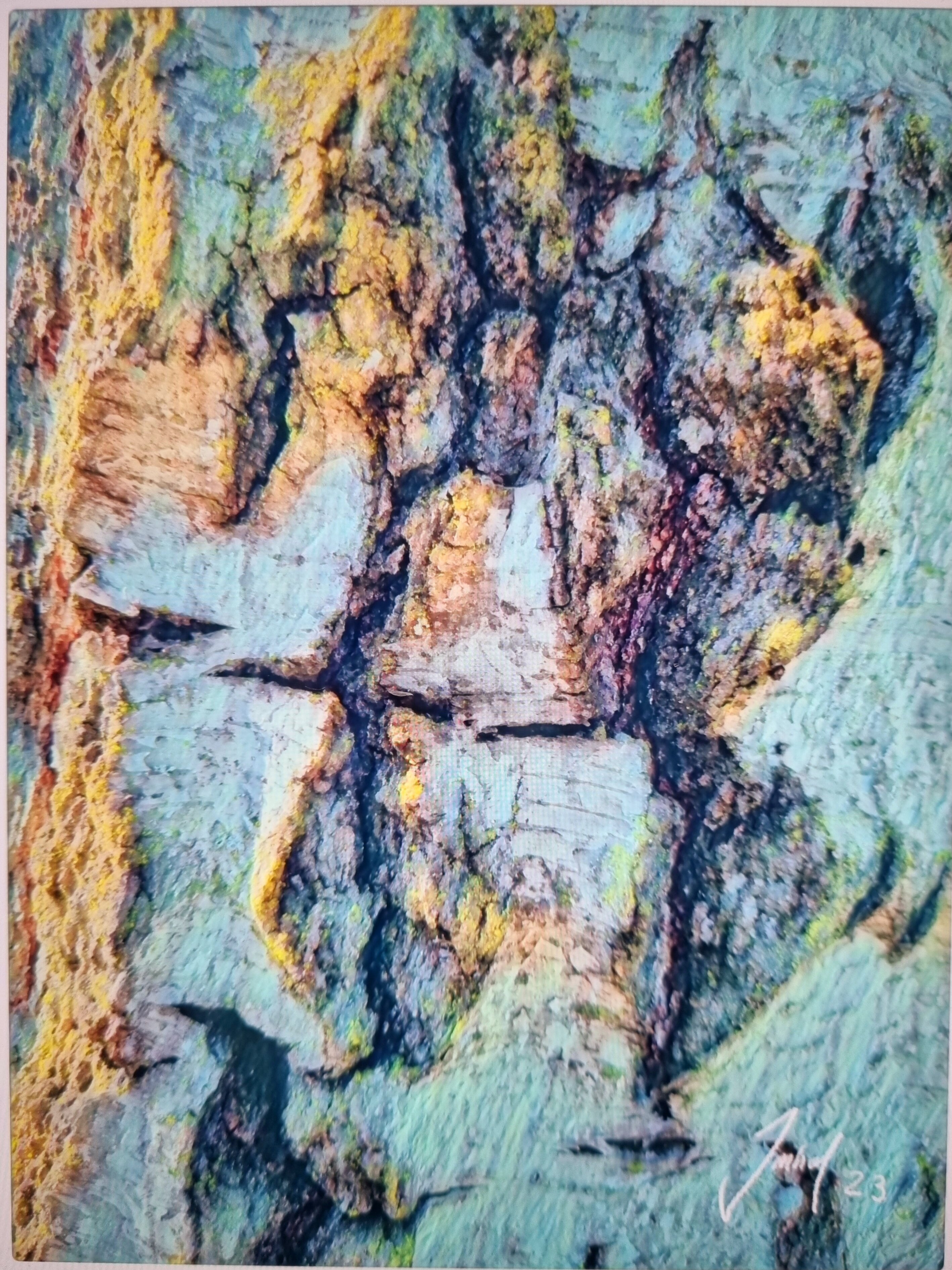 Topic Bark paintings
