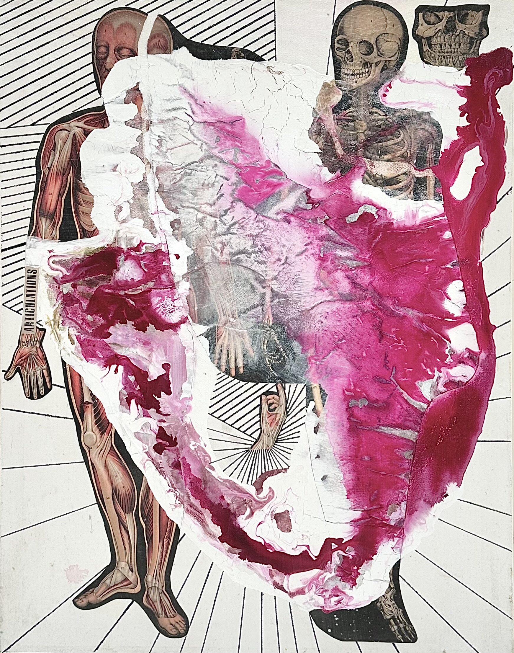 Topic Anatomy paintings