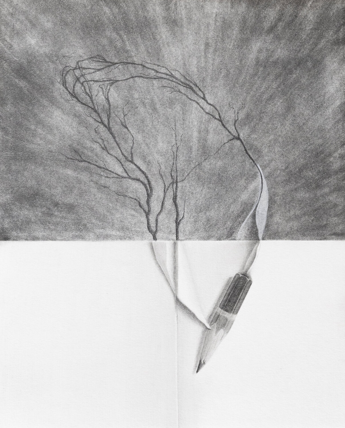 Micorrizas Édgar Güiza Drawing for sale