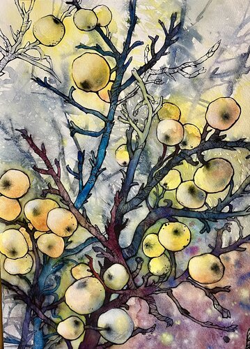 Verborgene Früchte by Vera Fischer, Painting for Sale on Select