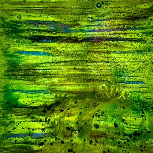JUNGLE by claire lassonnery, Painting for Sale on Select