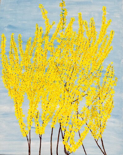 Forsythia on blue (flowers) by Ruth Breen, Painting for Sale on Select