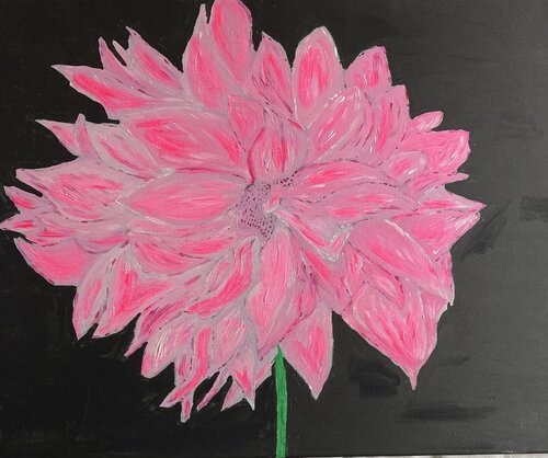 Pink Dahlia on black (Flower) by Ruth Breen, Painting for Sale on Select
