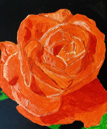Orange Rose on Black by Ruth Breen, Painting for Sale on Select