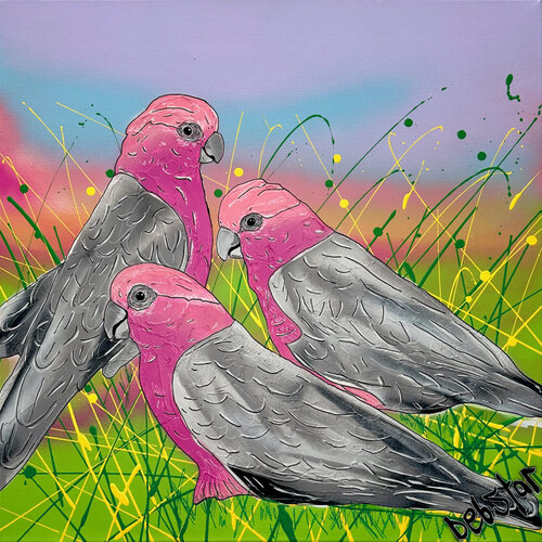 Galah Sunset 61cm x 61cm by DEBORAH LANG, Painting for Sale on Select