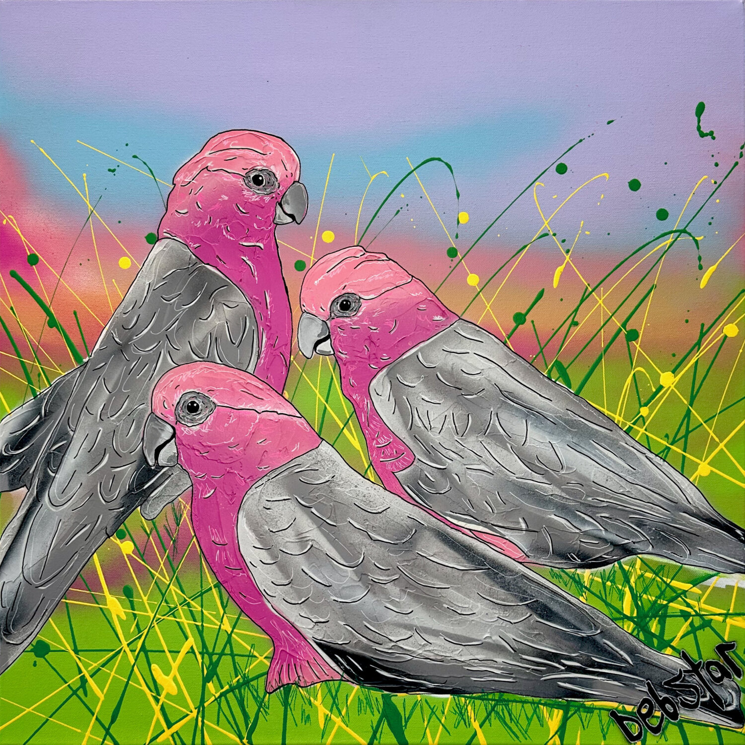 Galah Sunset 61cm x 61cm DEBORAH LANG Original painting for sale
