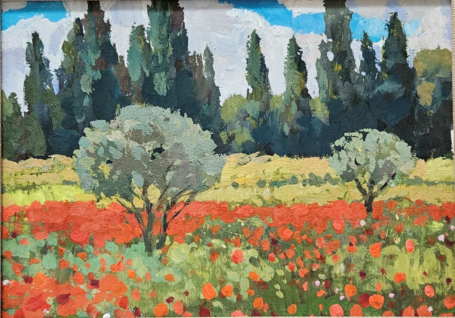 Olive Trees and Poppy Bloom, Occitanie Landscape Painting Tatiana Hellum Original painting for sale