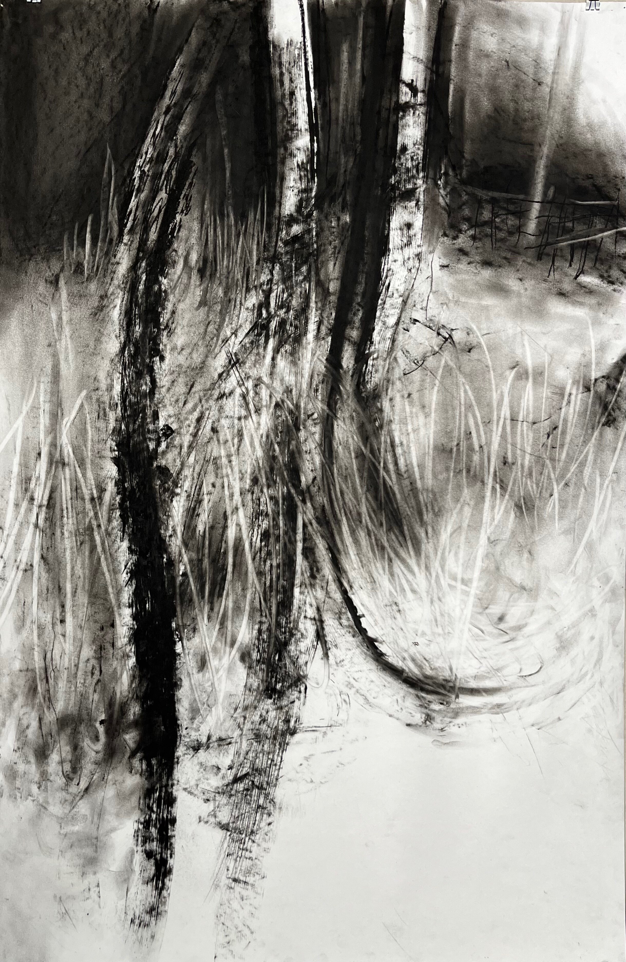The Forest Waltz