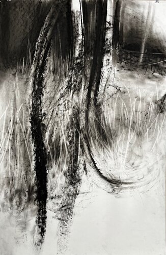 The Forest Waltz by Philippe Briade, Drawing for Sale on Select