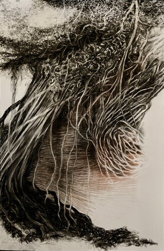 Veins of Seduction by Philippe Briade, Drawing for Sale on Select
