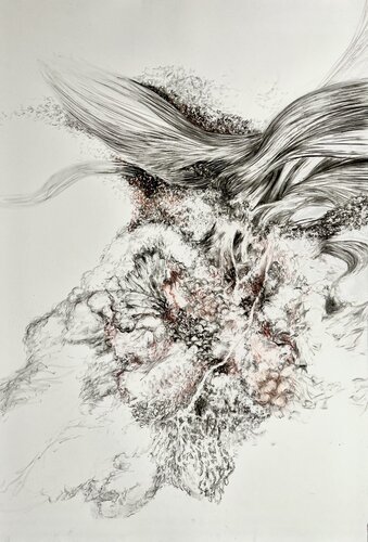 Flesh Blossom (Floraison Charnelle) by Philippe Briade, Drawing for Sale on Select