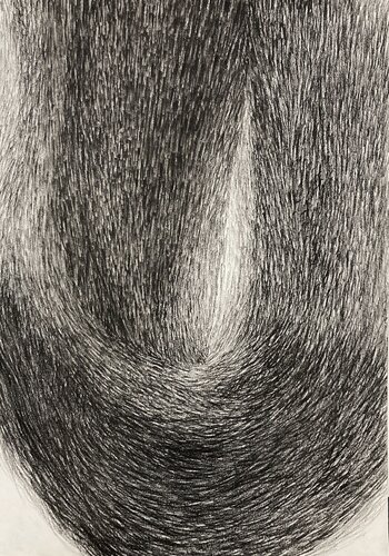Fur Curve by Philippe Briade, Drawing for Sale on Select