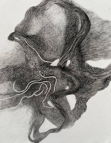 Lines of Becoming - Lignes de devenir by Philippe Briade, Drawing for Sale on Select