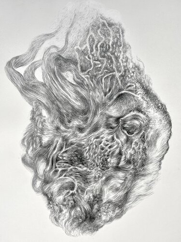 Your Heart is a Fur by Philippe Briade, Drawing for Sale on Select