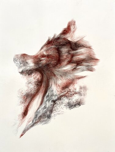 Crossfire by Philippe Briade, Drawing for Sale on Select