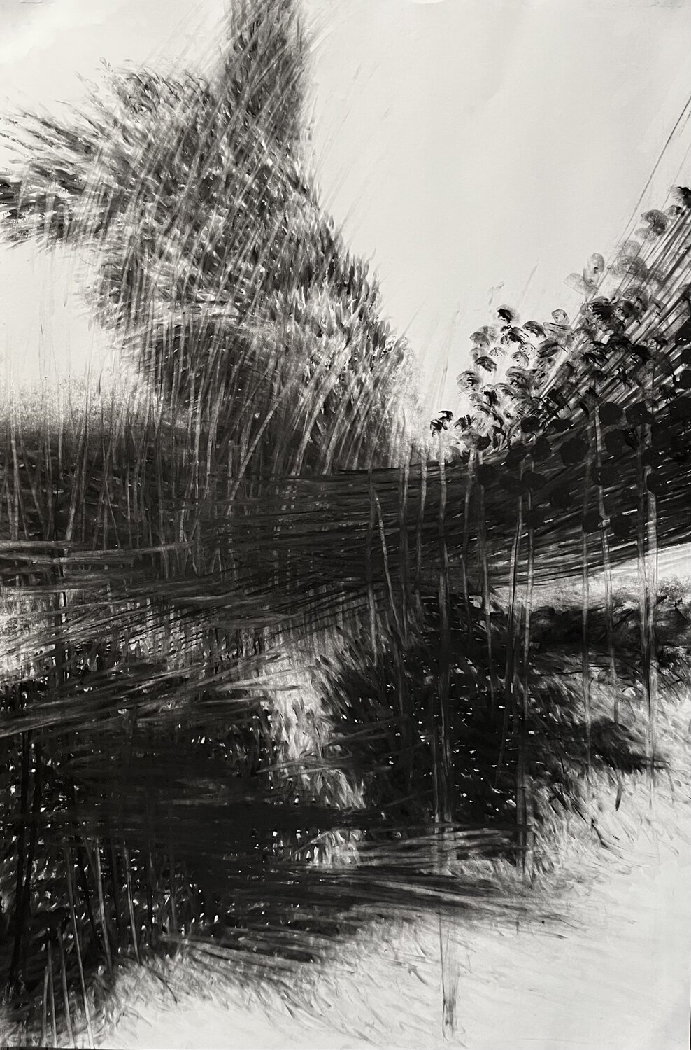 Winds of Change Philippe Briade Drawing for sale