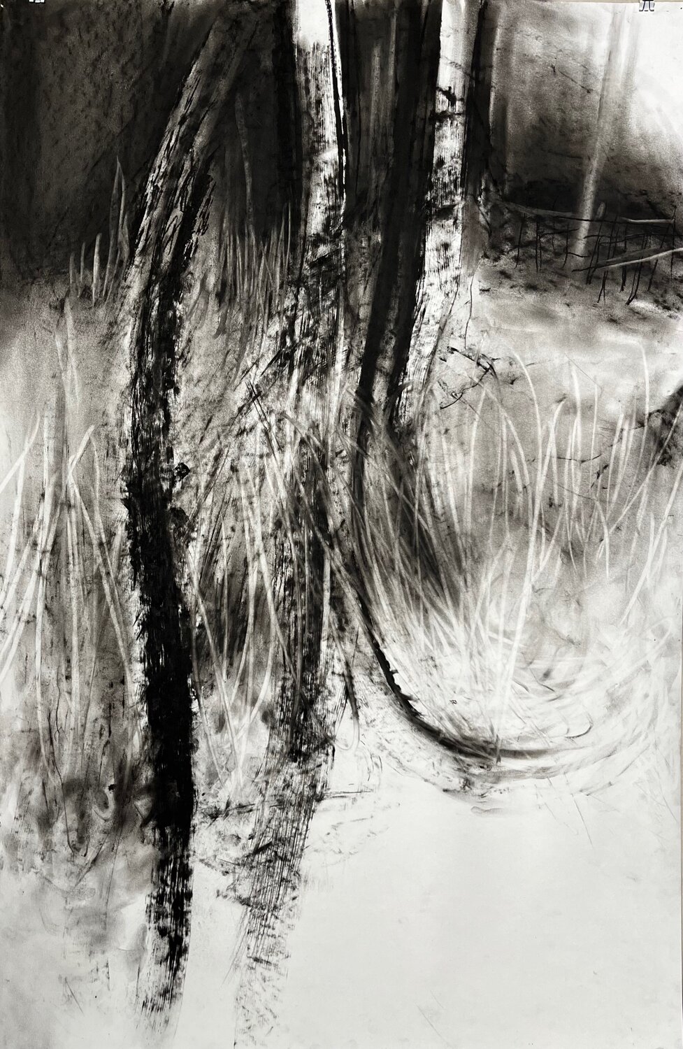 The Forest Waltz Philippe Briade Drawing for sale