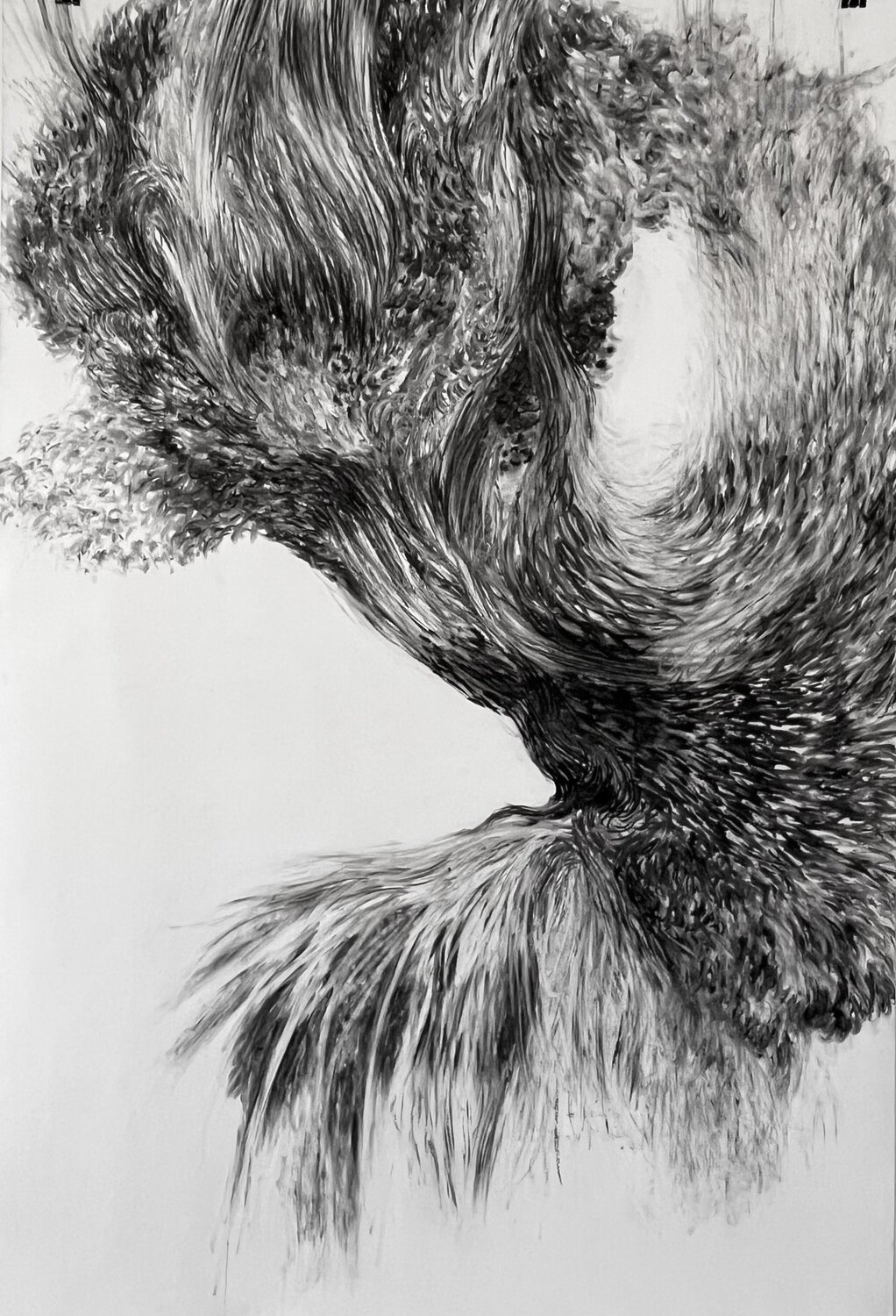 Falling Currents Philippe Briade Drawing for sale