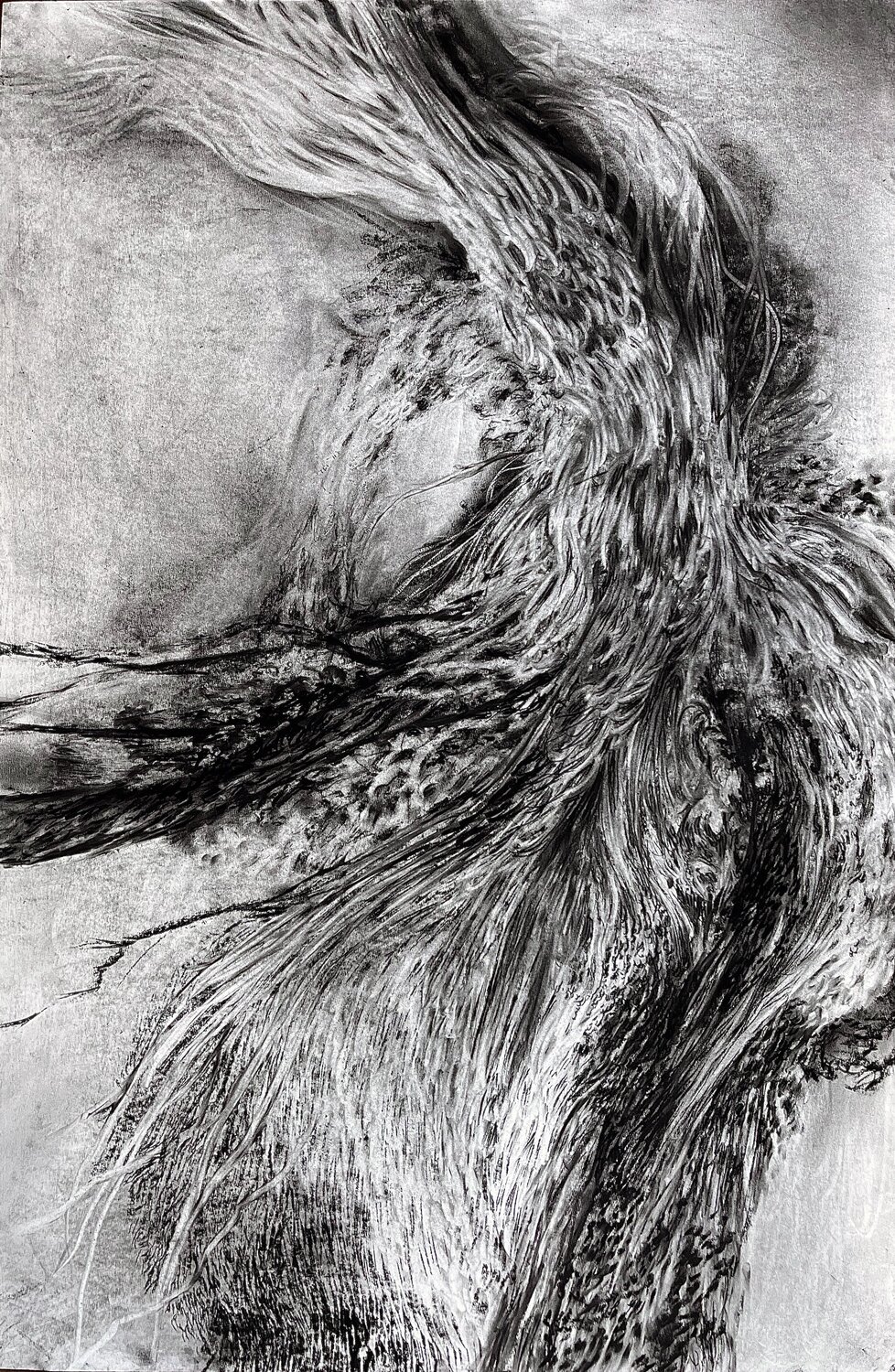 Celestial Flow, Terrestrial Pulse Philippe Briade Drawing for sale