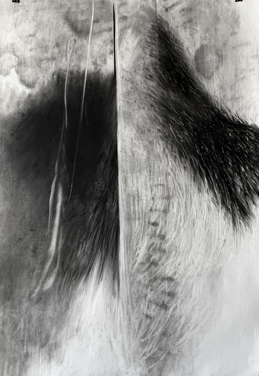 Hide and See Philippe Briade Drawing for sale