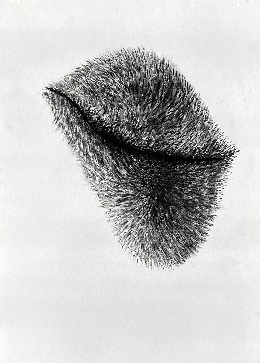 No Satisfaction Philippe Briade Drawing for sale