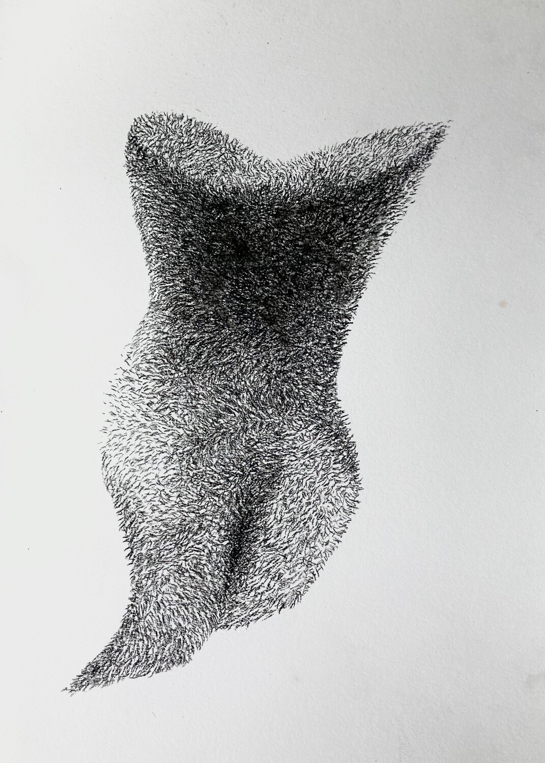 Earthly Vessel Philippe Briade Drawing for sale