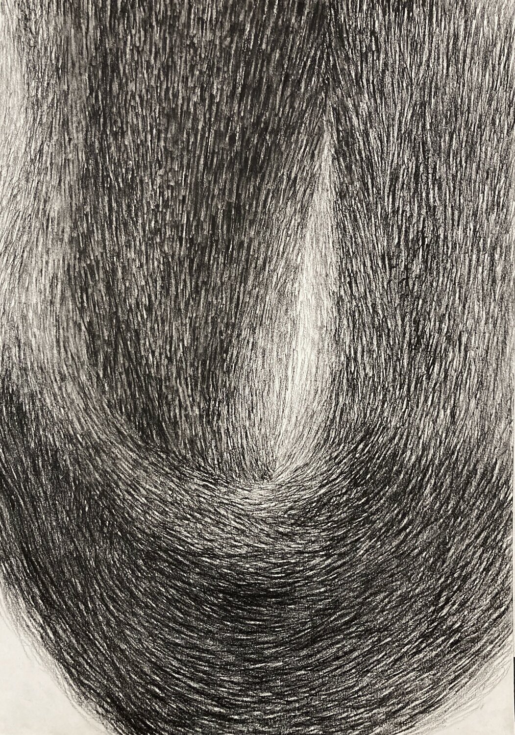 Fur Curve Philippe Briade Drawing for sale