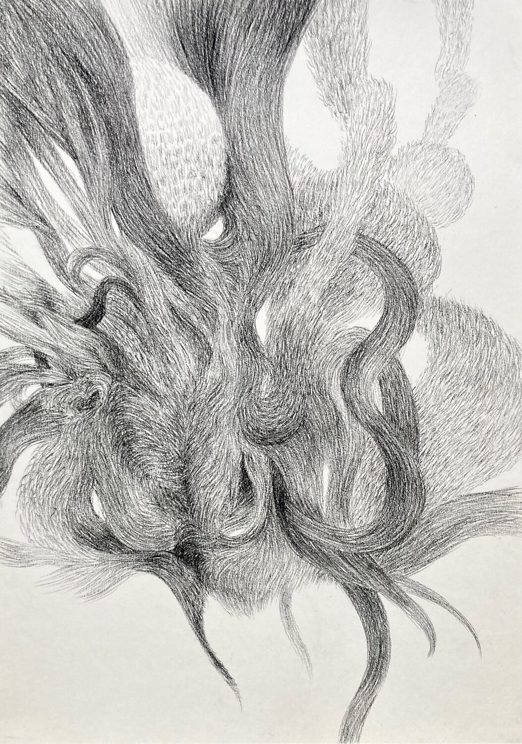 Broad Scope of Issues Philippe Briade Drawing for sale
