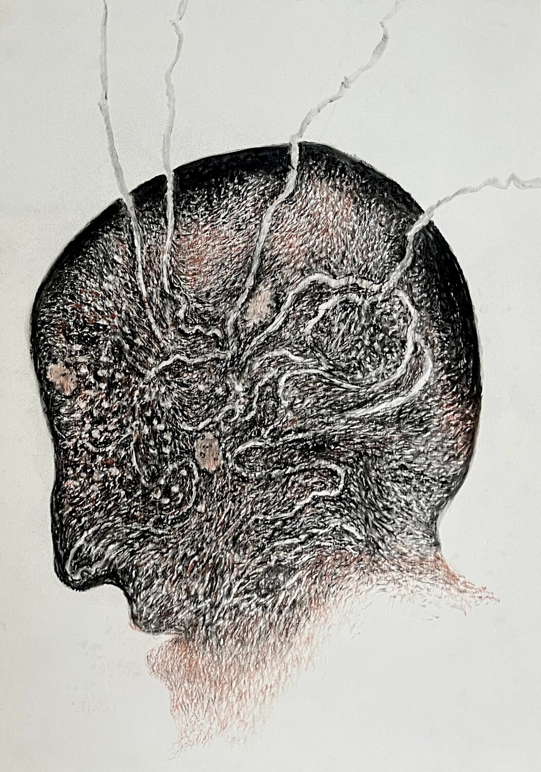 Portrait of my Inner Land Philippe Briade Drawing for sale
