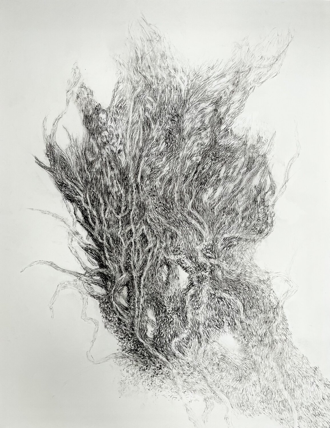 Mesmerizing Whispers Philippe Briade Drawing for sale