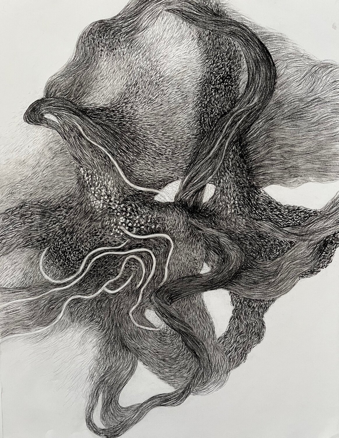 Lines of Becoming - Lignes de devenir Philippe Briade Drawing for sale
