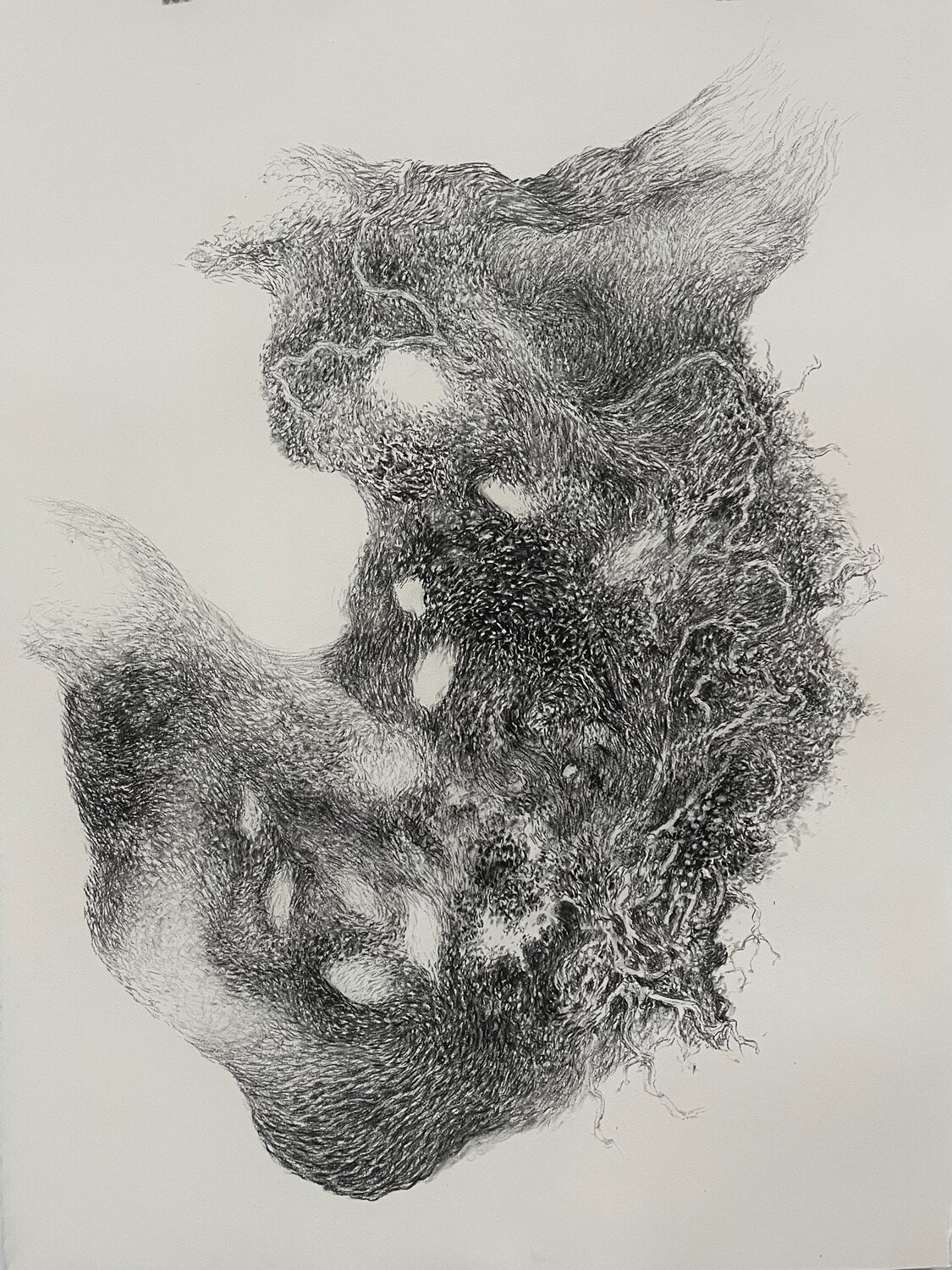 The Veins of Time Philippe Briade Drawing for sale