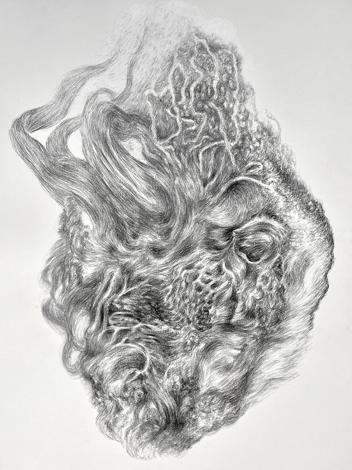 Your Heart is a Fur Philippe Briade Drawing for sale