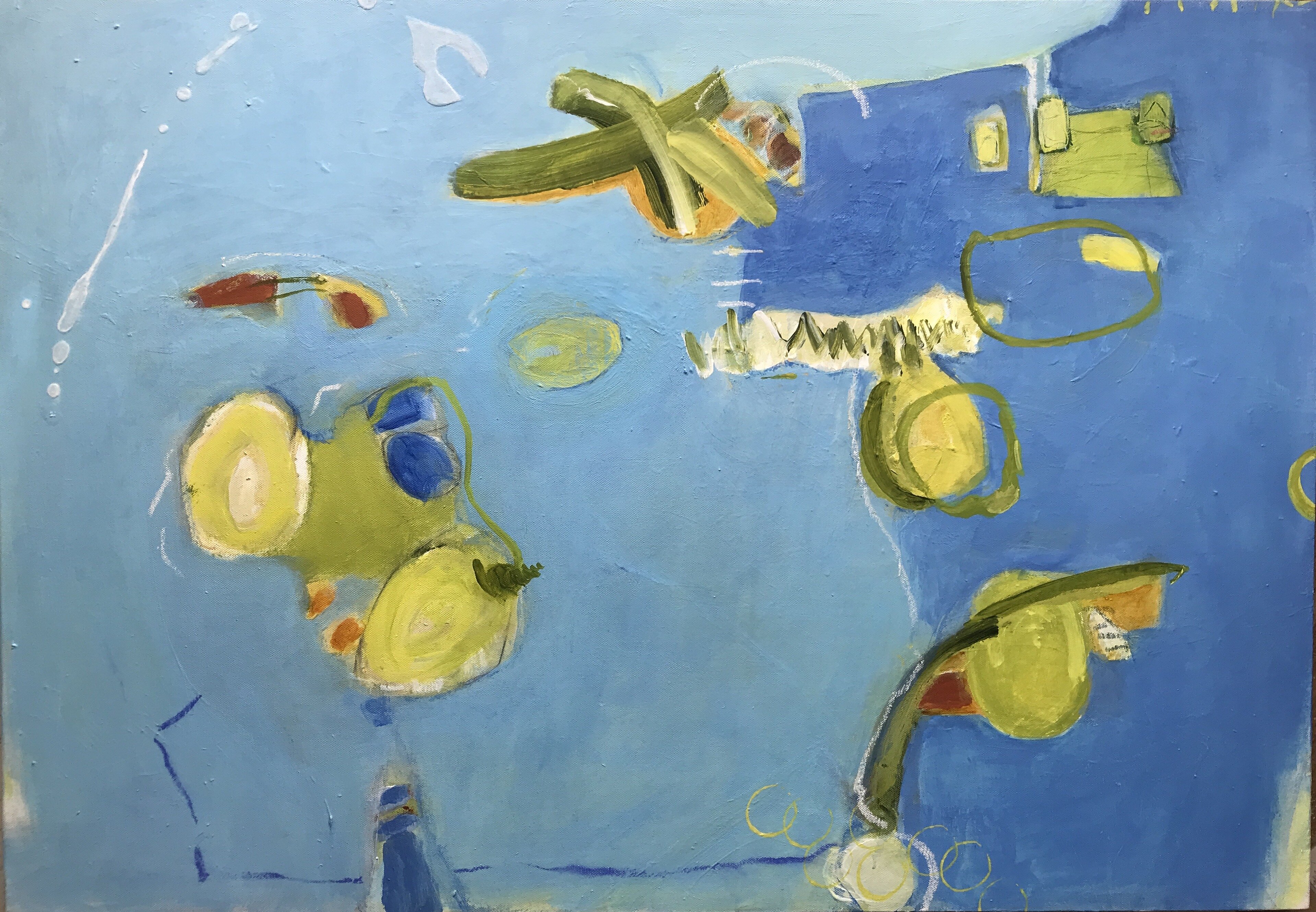 Lemons of Monterosso