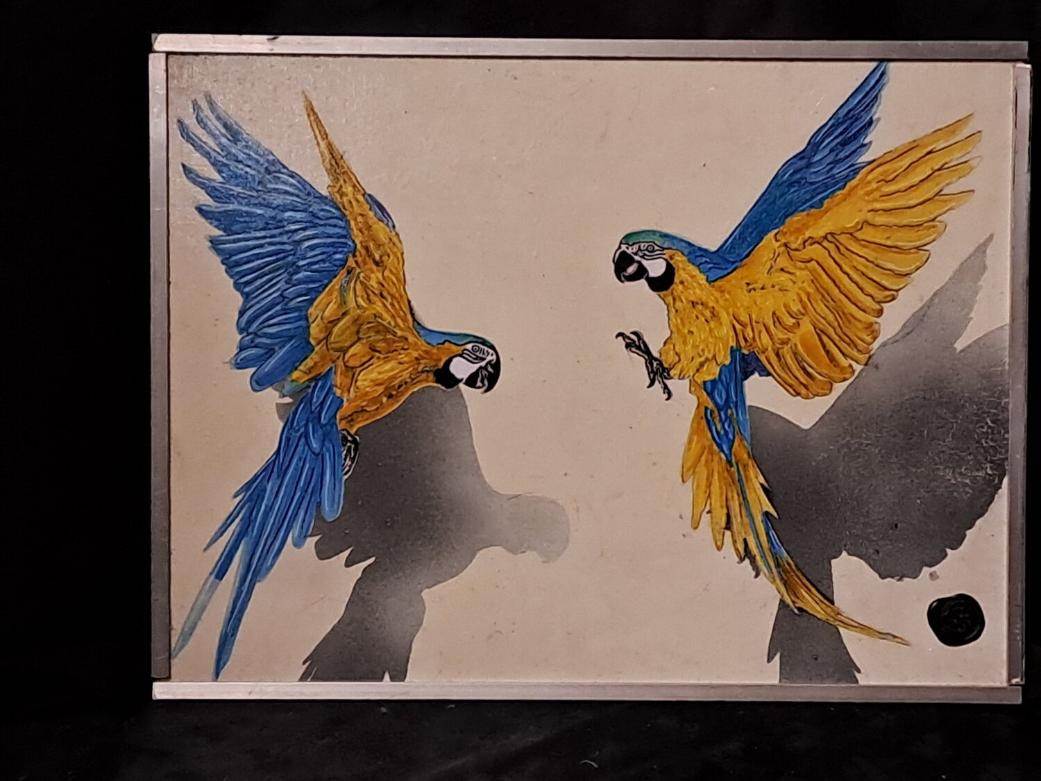 Pappagalli Simone Grenzi Original painting for sale