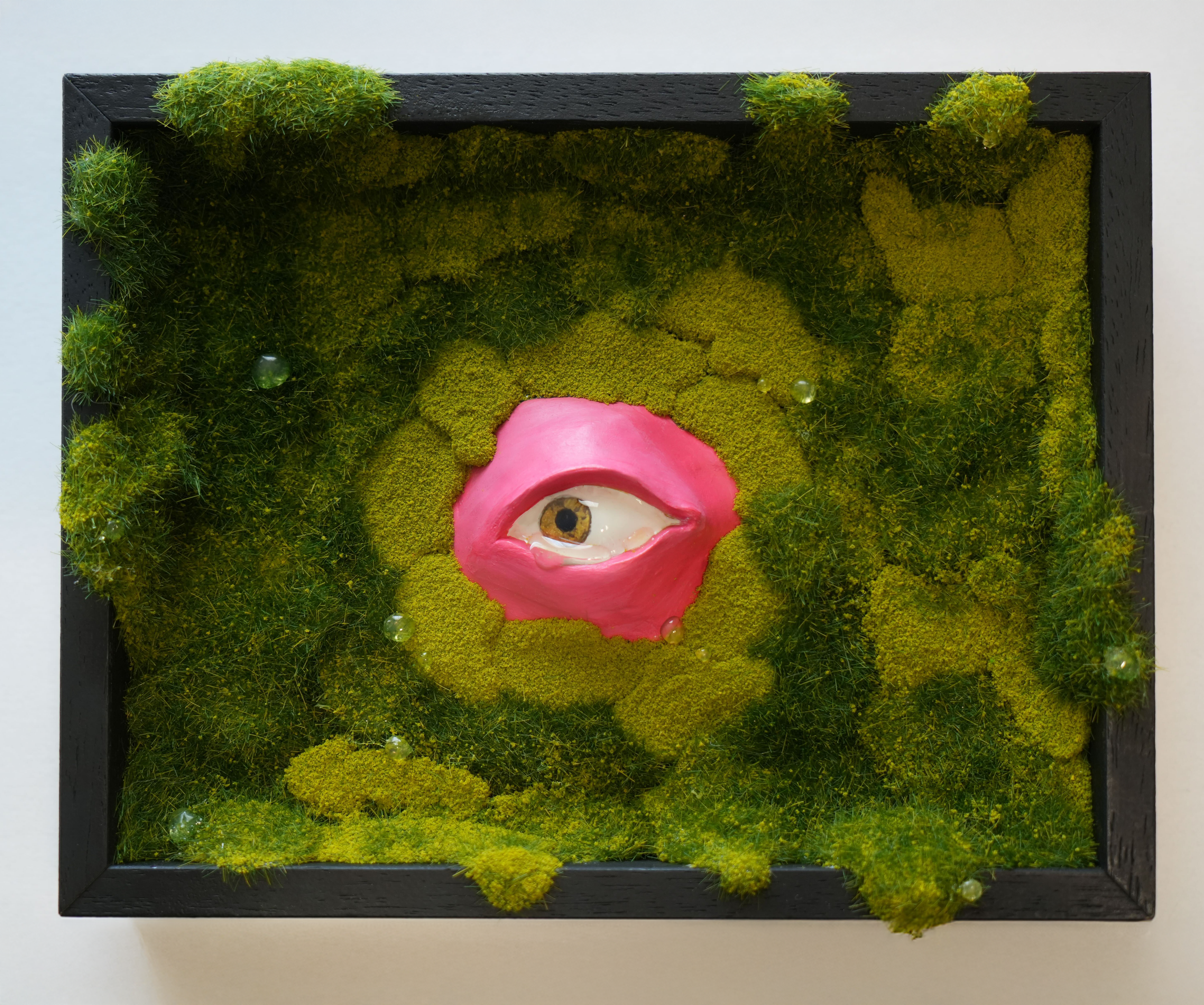 I "Awakening Beneath Moss"