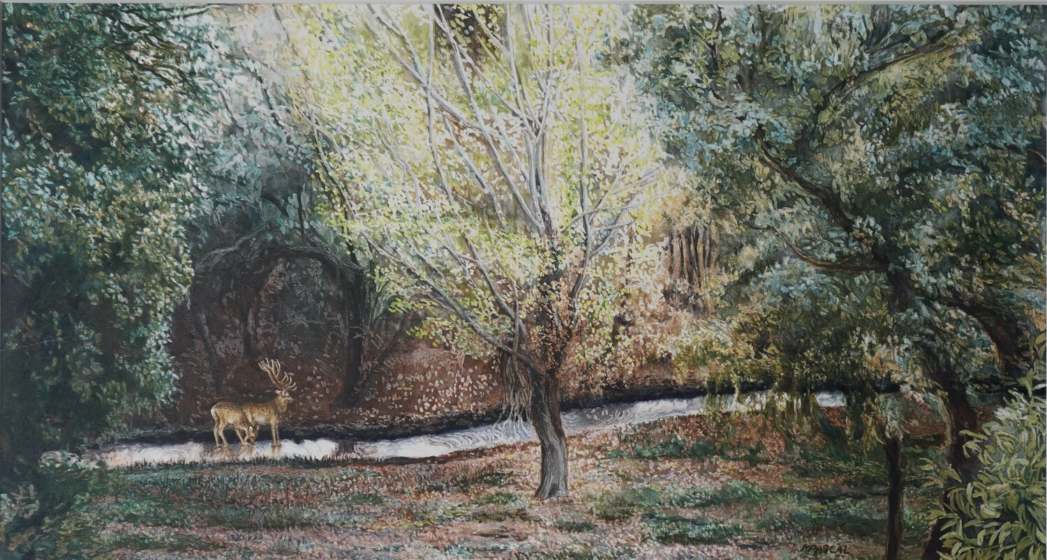Deers in the Park Marie Pascal Drawing for sale