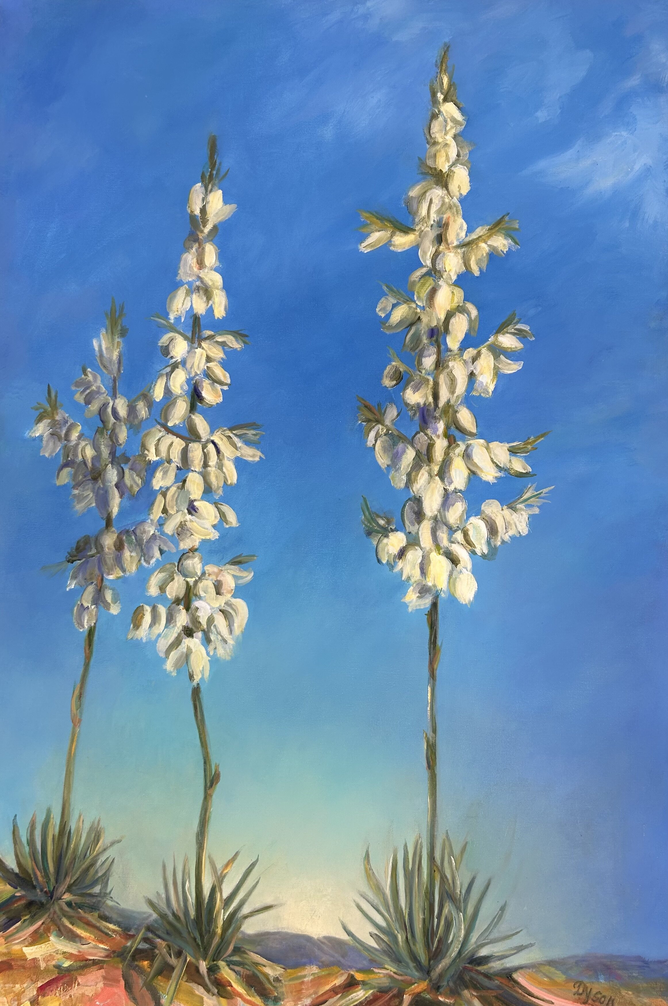 Yucca