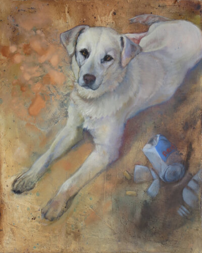 Redbull by Diana Howard, Painting for Sale on Select