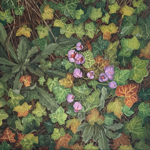 Hope by Diana Howard, Painting for Sale on Select