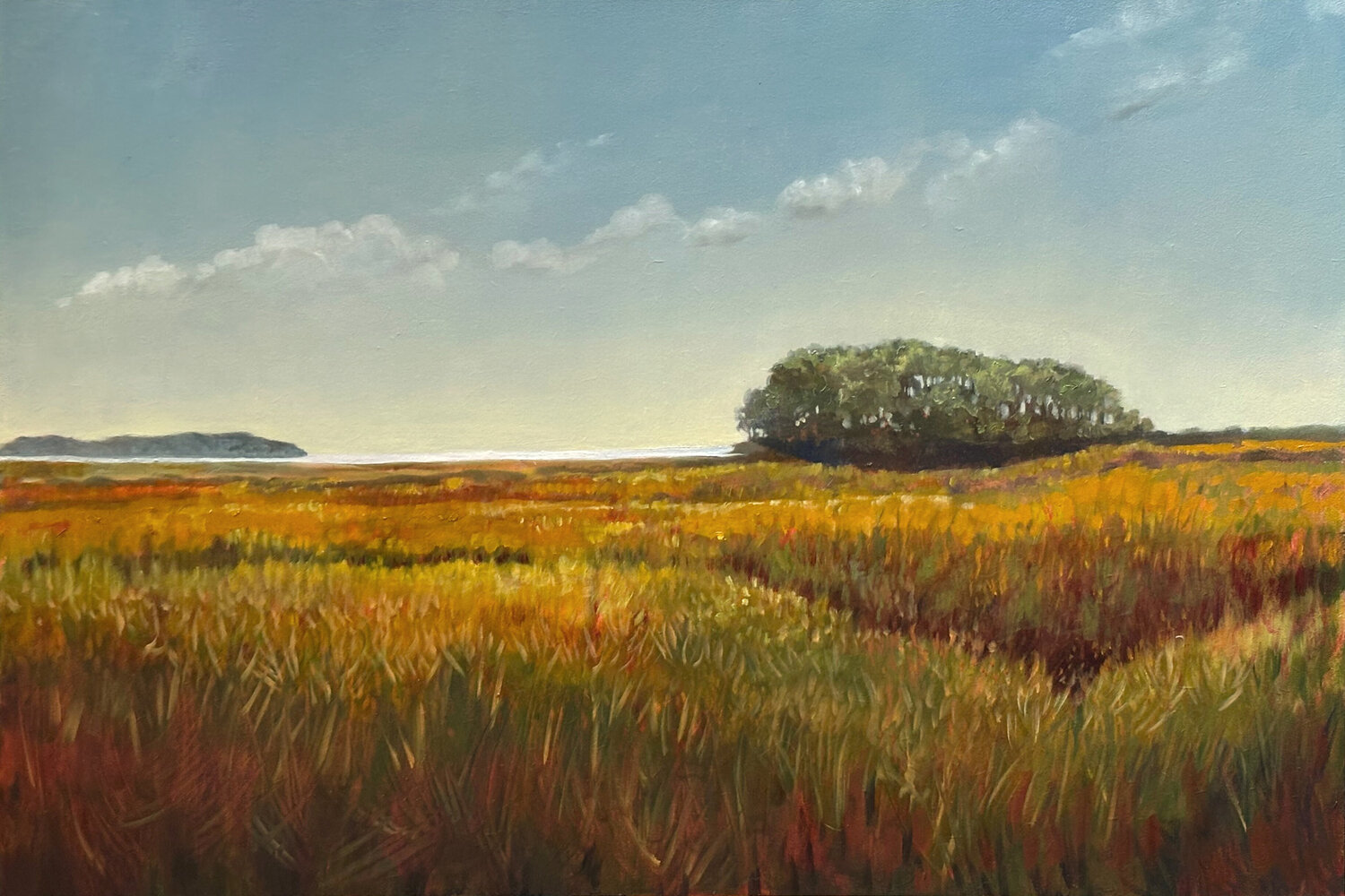 Northeast Regional Diana Howard Original painting for sale